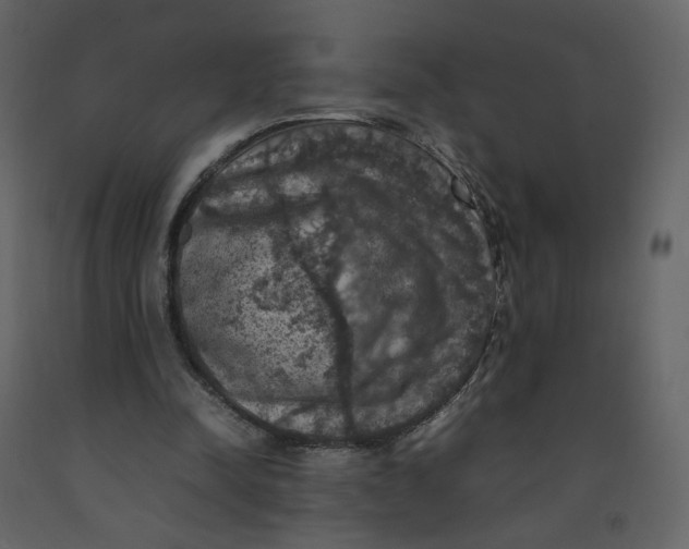 X0000092220342200710051203
