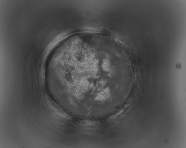 X0000092220343200710051203