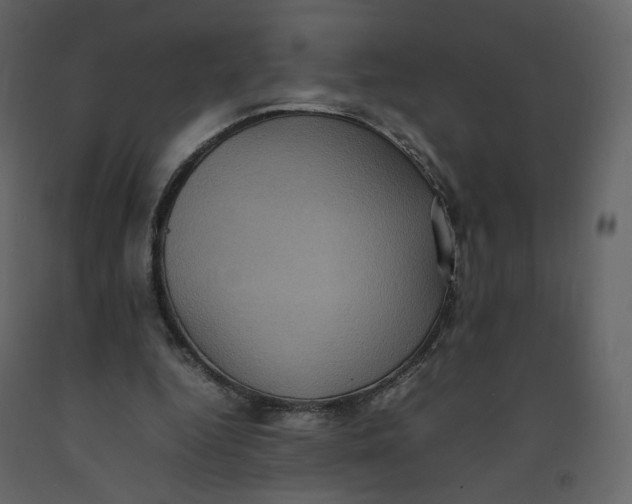 X0000092220344200710051203