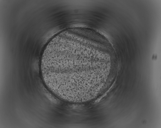 X0000092220345200710051203