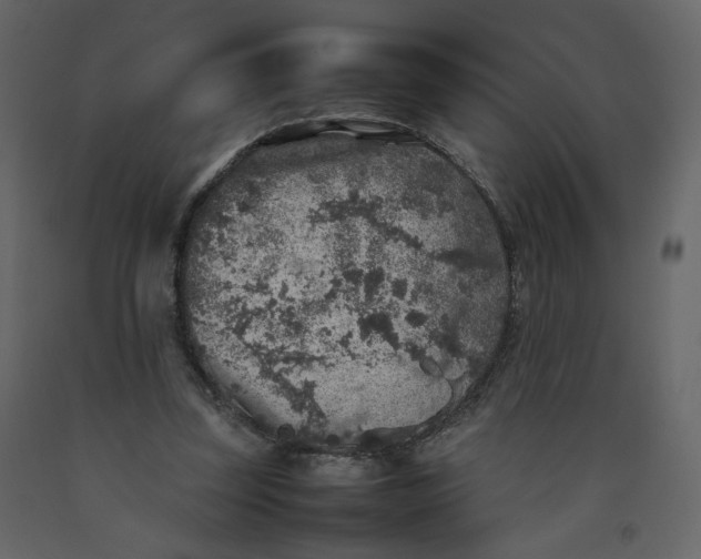 X0000092220347200710051203