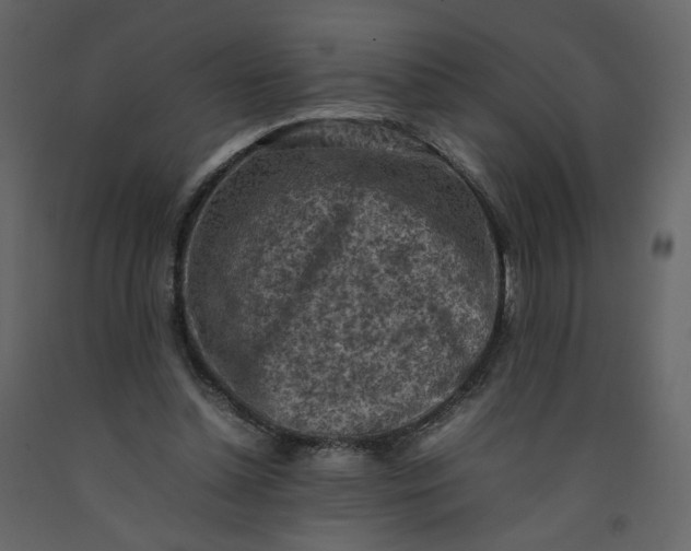 X0000092220348200710051203
