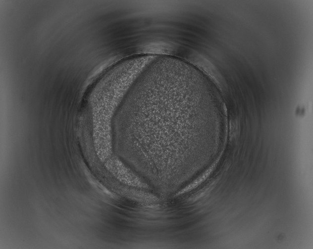 X0000092220349200710051203