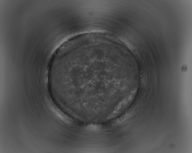X0000092220350200710051203