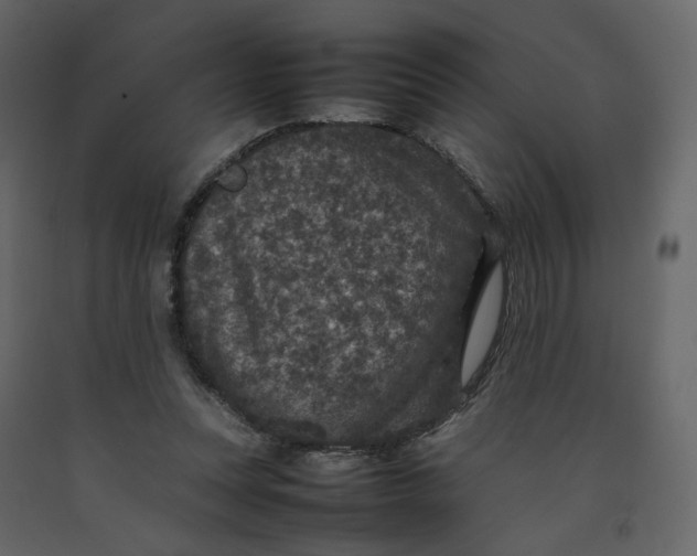 X0000092220351200710051203