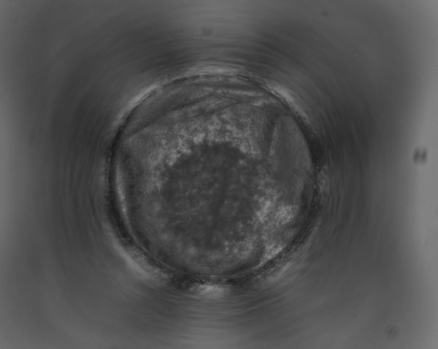 X0000092220352200710051203