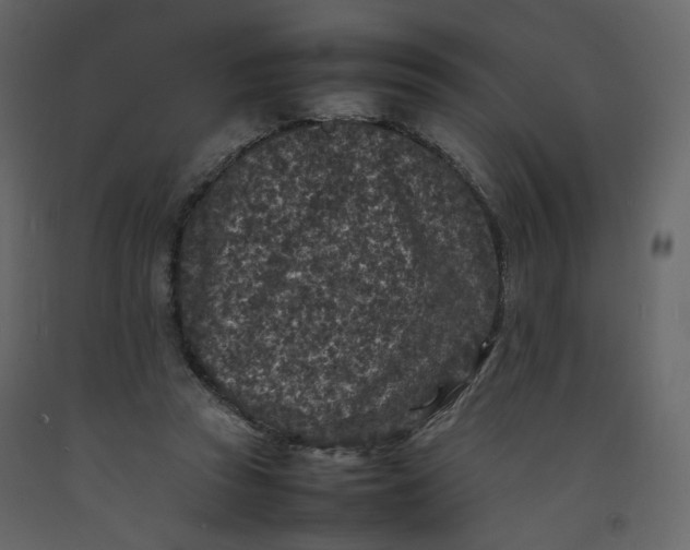 X0000092220353200710051203