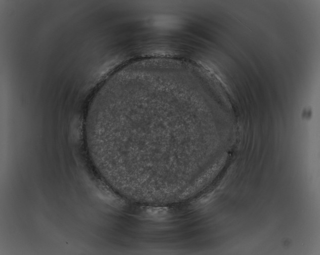 X0000092220355200710051203