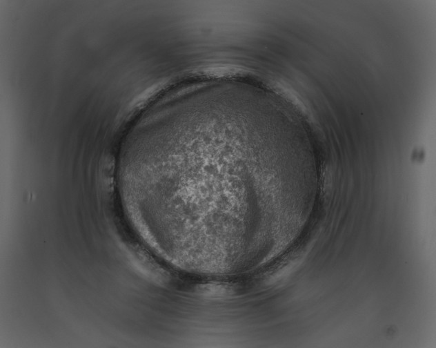 X0000092220356200710051203