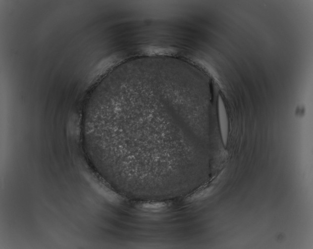 X0000092220357200710051203