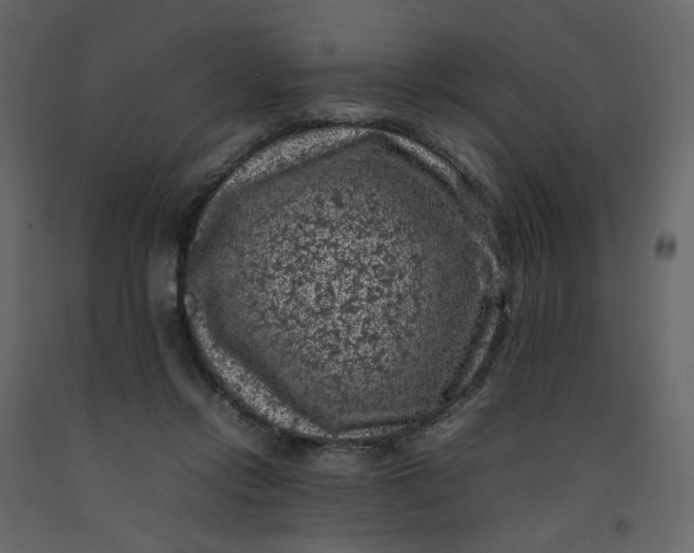 X0000092220358200710051203