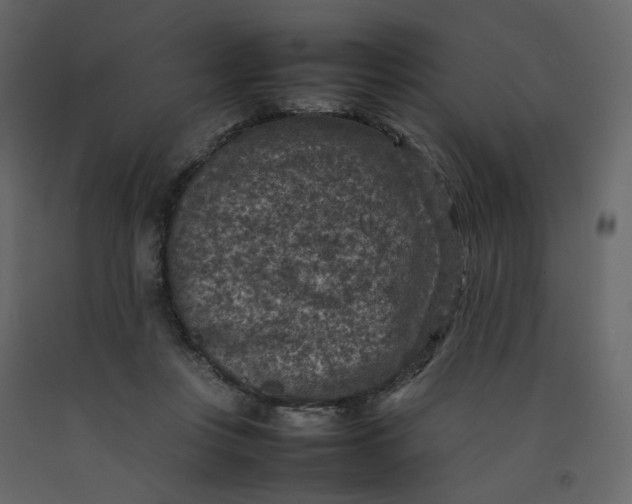 X0000092220359200710051203