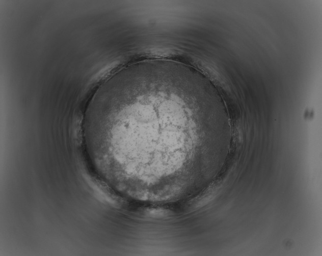 X0000092220360200710051203