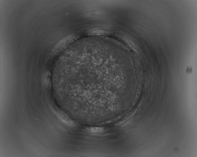 X0000092220361200710051203