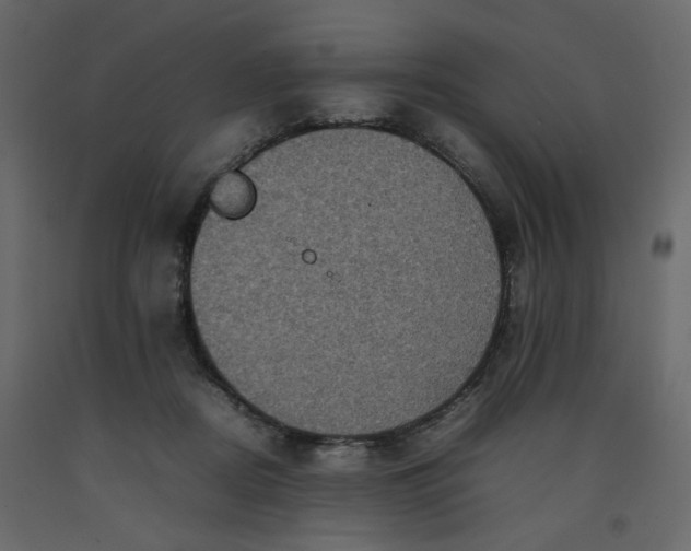 X0000092220362200710051203