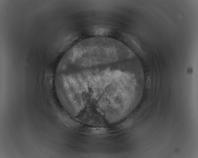 X0000092220363200710051203