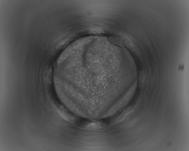 X0000092220364200710051203