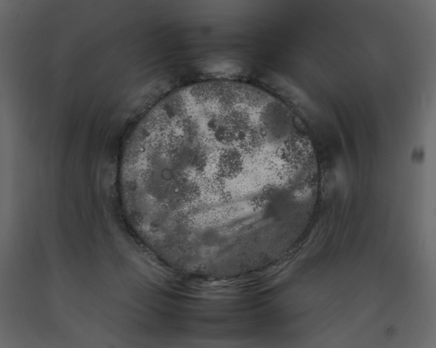 X0000092220365200710051203