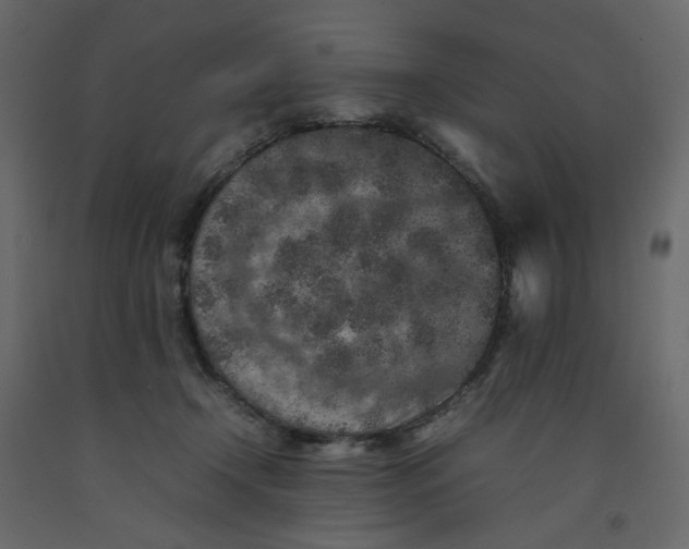 X0000092220366200710051203