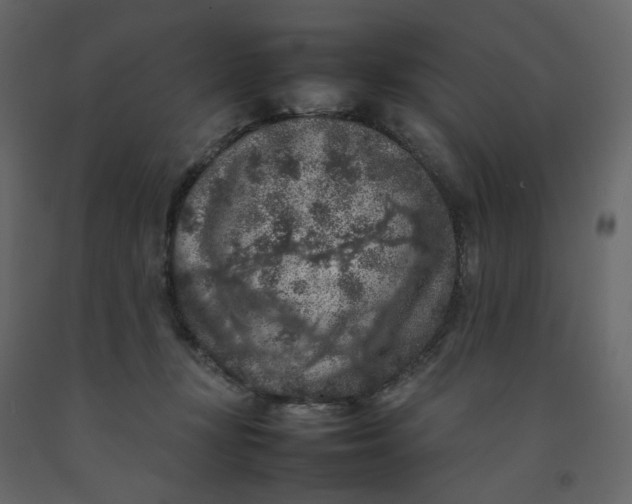 X0000092220367200710051203