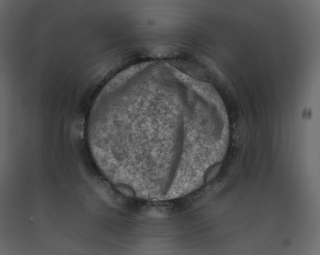 X0000092220368200710051203