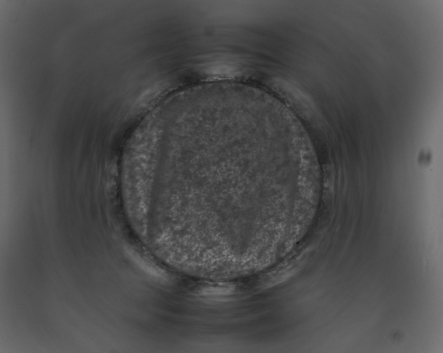 X0000092220369200710051203