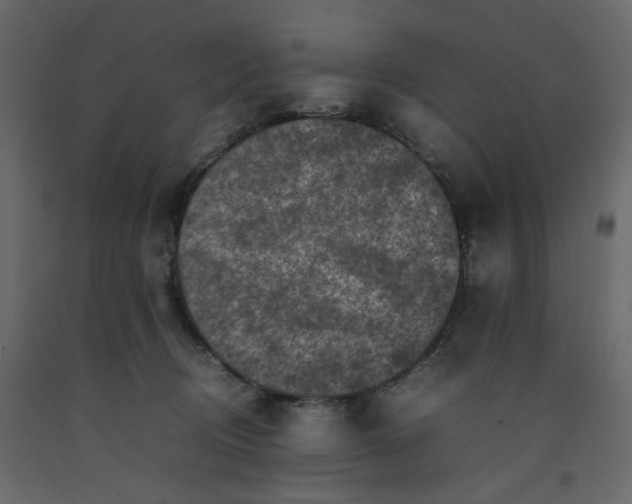 X0000092220370200710051203