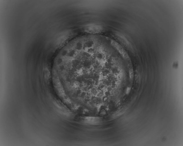 X0000092220371200710051203