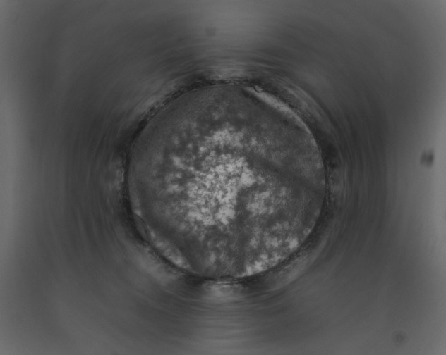 X0000092220372200710051203