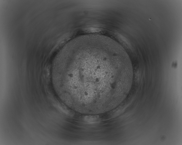 X0000092220373200710051203