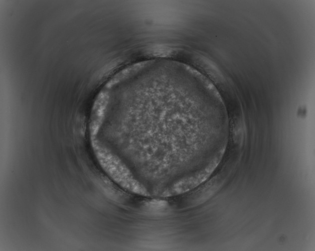 X0000092220374200710051203