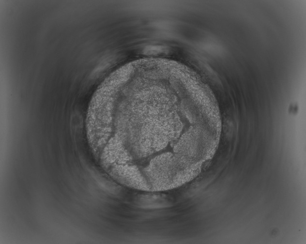 X0000092220375200710051203