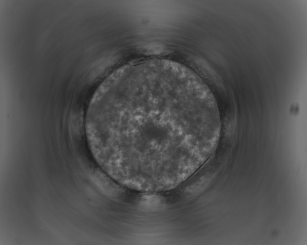 X0000092220376200710051203