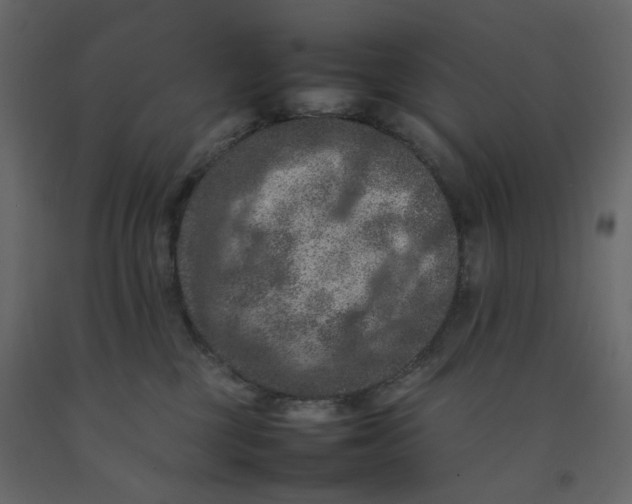 X0000092220377200710051203
