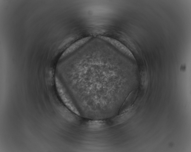 X0000092220378200710051203