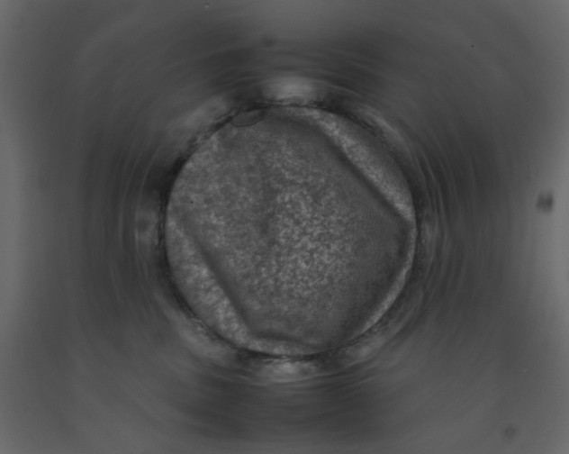 X0000092220379200710051203