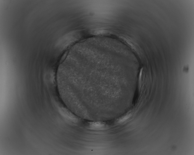X0000092220380200710051203