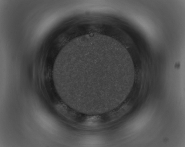 X0000092220382200710051203