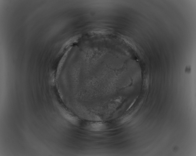 X0000092220383200710051203