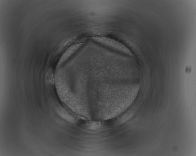 X0000092220384200710051203