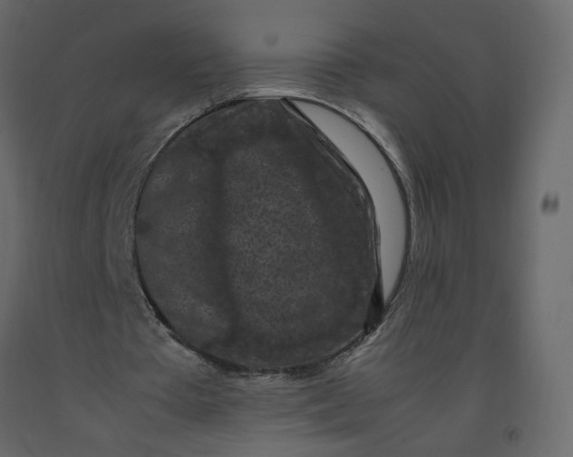 X0000092220385200710051203