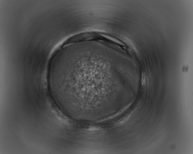 X0000092220388200710051203