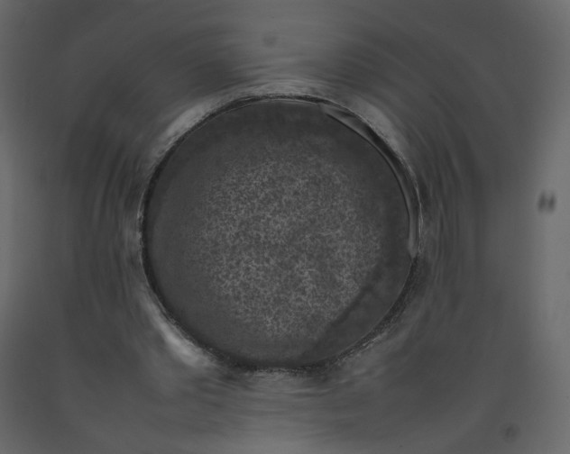 X0000092220389200710051203