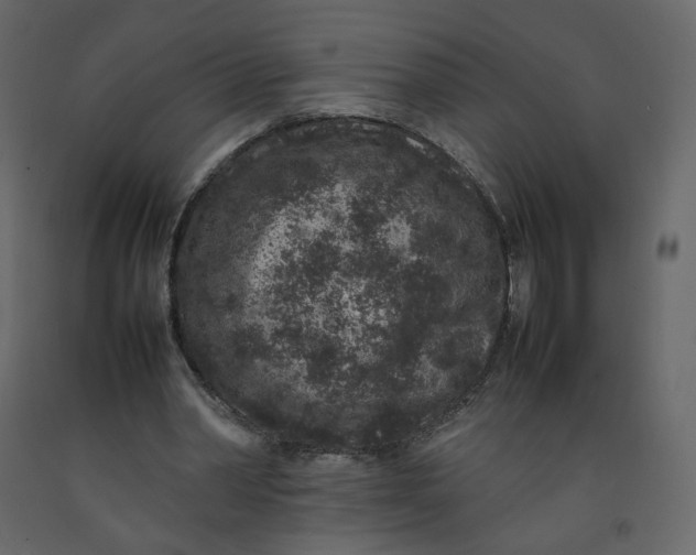 X0000092220390200710051203