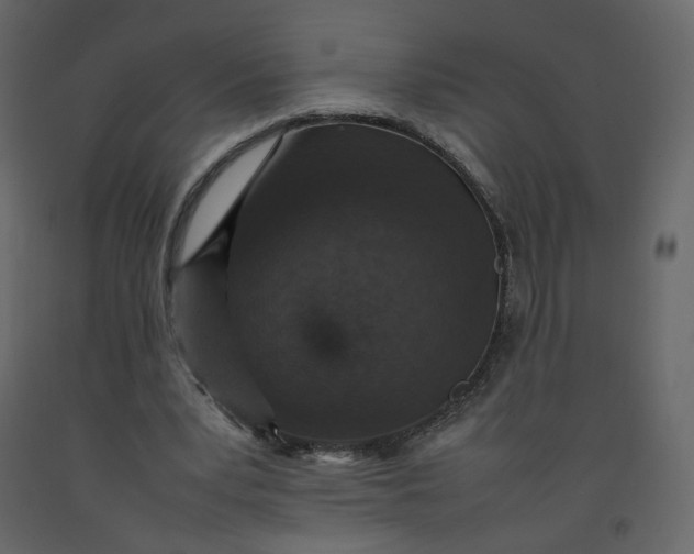 X0000092220391200710051203