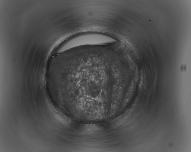 X0000092220392200710051203