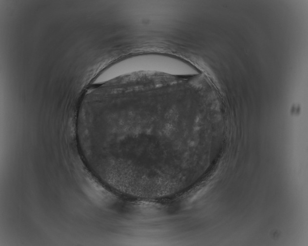 X0000092220393200710051203