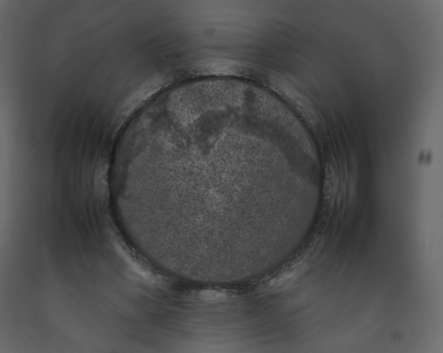 X0000092220394200710051203