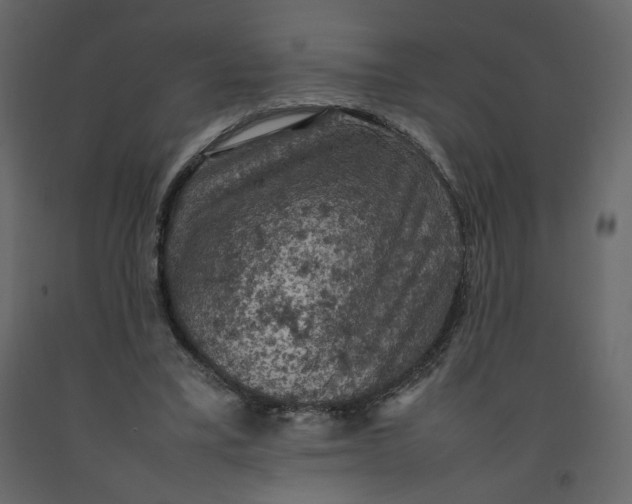 X0000092220395200710051203