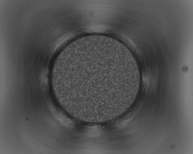 X0000092220396200710051203